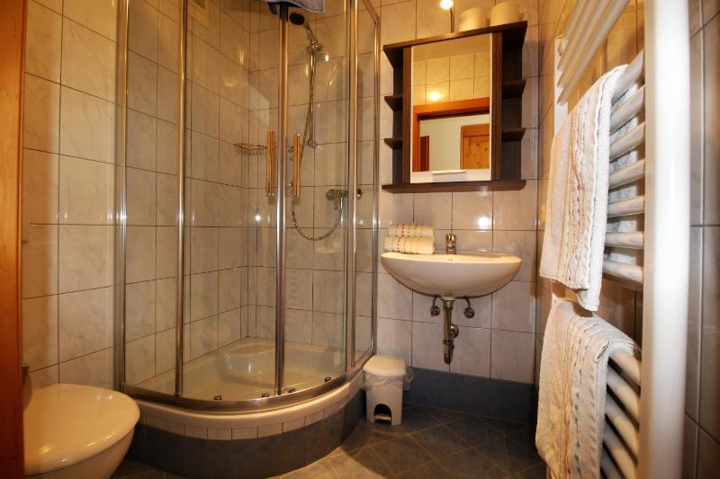 One-Bedroom Apartment image 3