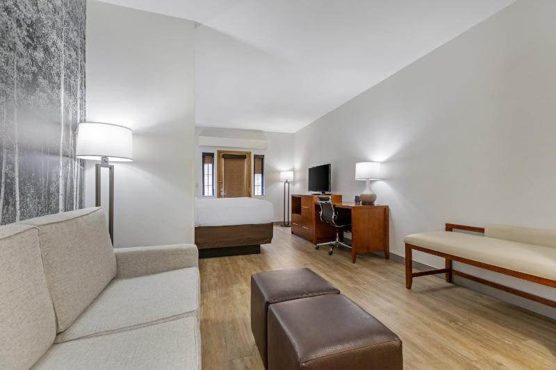 King Suite with Sofa Bed - Non-Smoking/Pet Friendly image 2