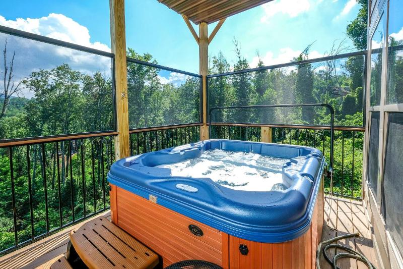 Relax and Soak with a Mountain View! - Bear Watch 1011 - image 1