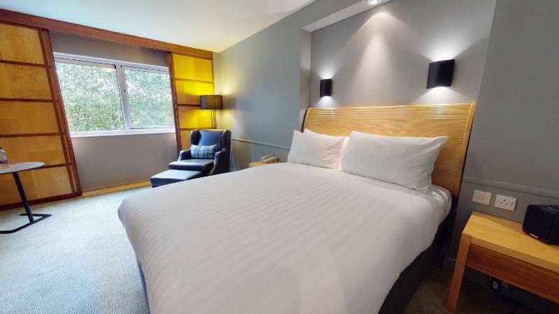 Premium King Room image 4