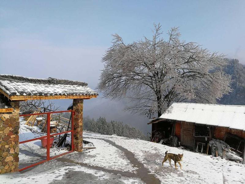 PeakMist Retreat Inside ZhangJiaJie Forest Park-Country-style specialty diningIn-park accommodation - image 15
