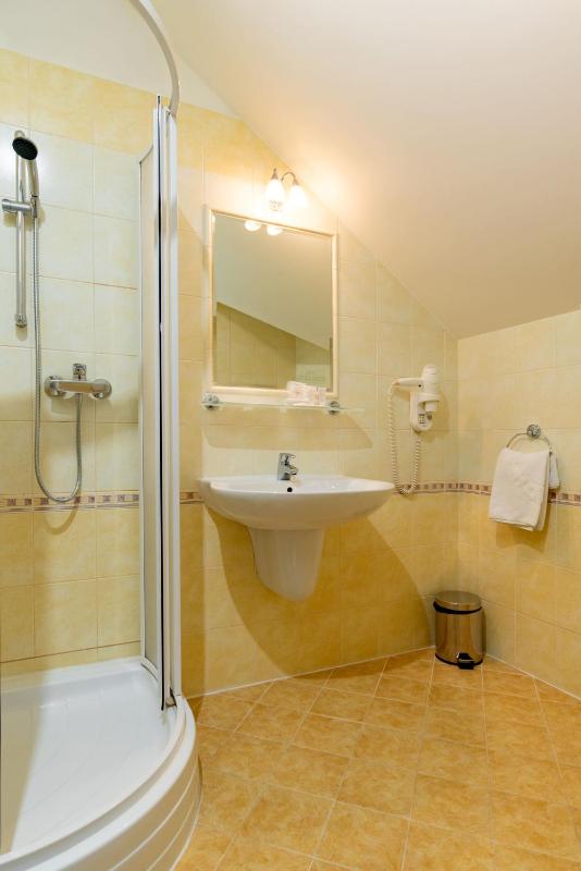 Deluxe Twin Room image 2