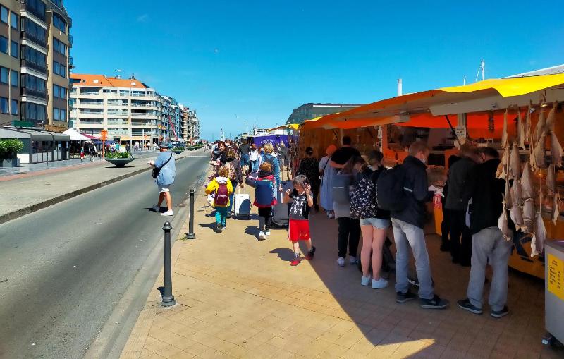 Pet Friendly Apartment In Oostende With Wifi - image 3