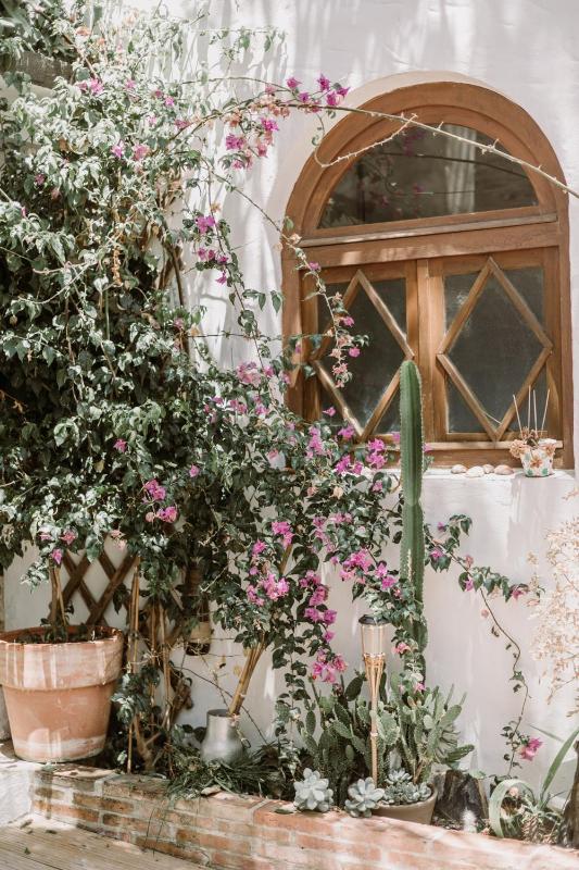 Studio with Garden View image 4
