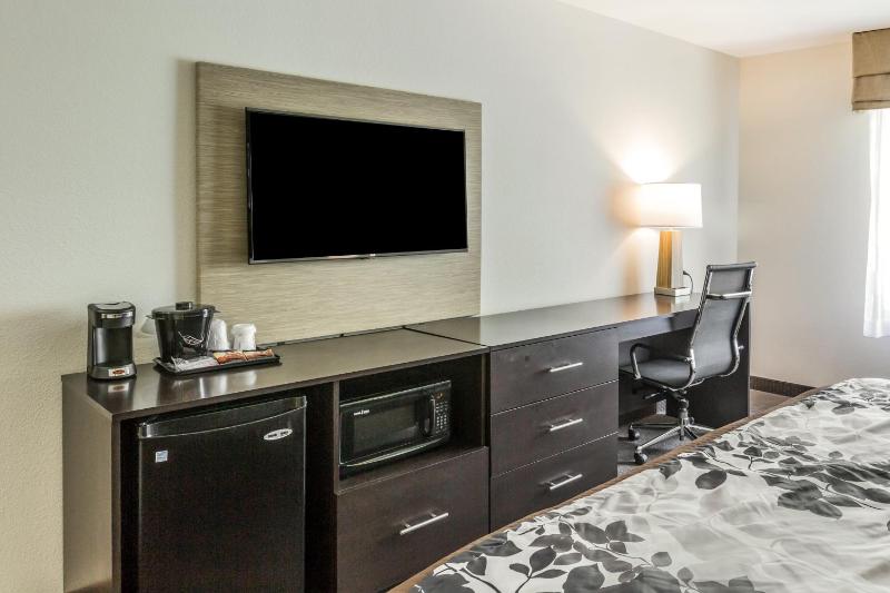 King Room - Accessible/Non-Smoking image 4