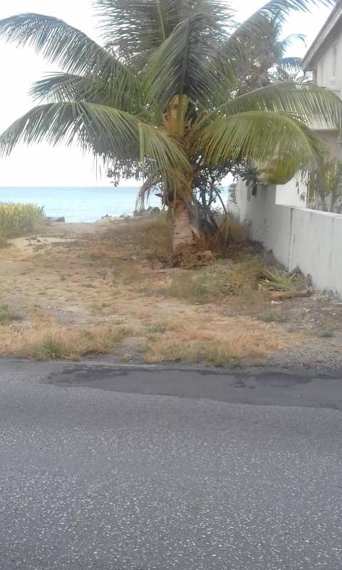 Cozy Suite Wifi Ac in Bedroom & 1 Minute Walk to West Coast Beach! - image 5
