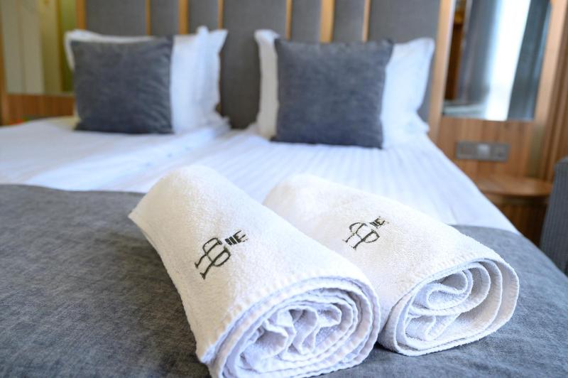 Deluxe Double or Twin Room image 2