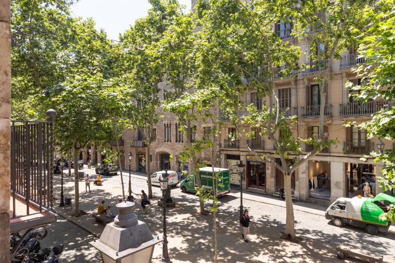 Studio with Terrace image 3