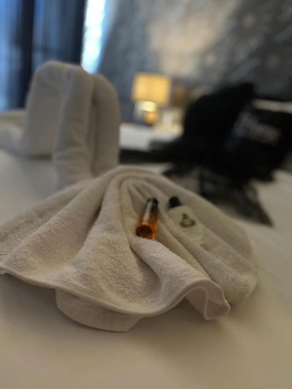 Bestie Nest - image 11