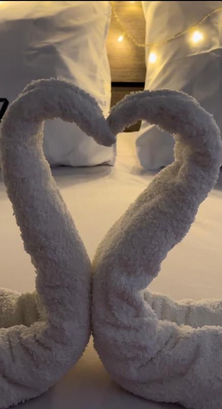 Bestie Nest - image 7
