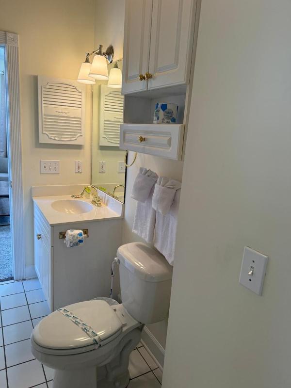 Incredible 1BR condo ground floor - image 14