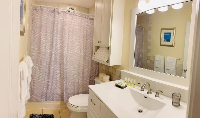 North Myrtle Beach D beautiful triplex unit - image 7
