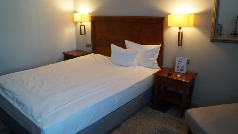 Double or Twin Room image 1