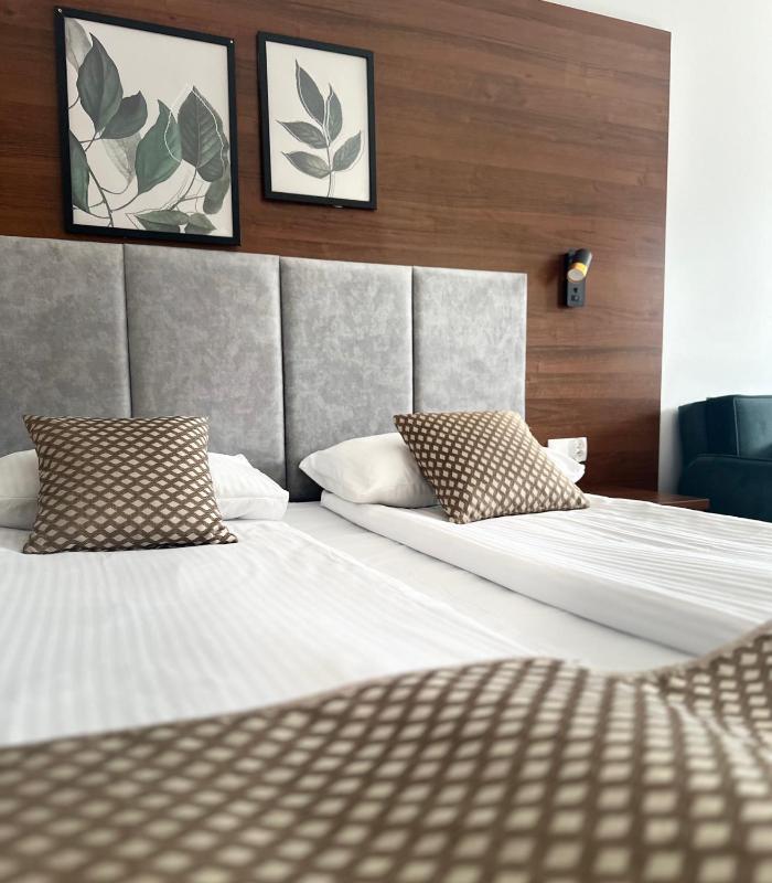 Double or Twin Room image 1