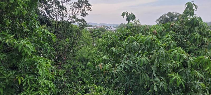 Lakeside Hostel & Homestay - image 6