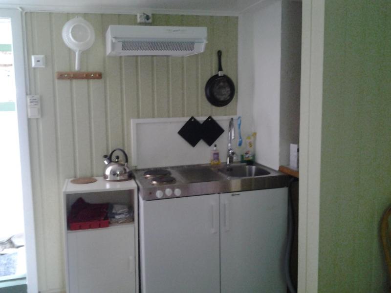 One-Bedroom Apartment image 4