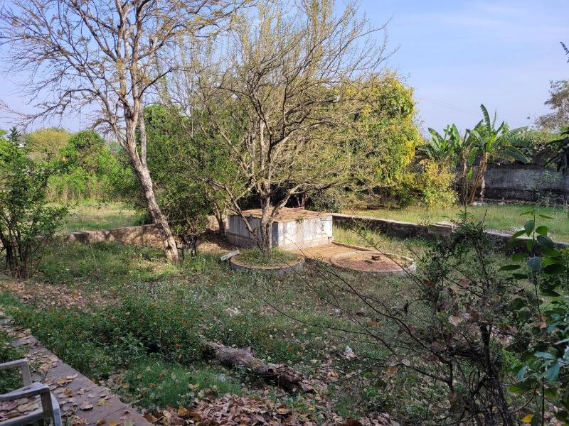 Lakeside Hostel & Homestay - image 3