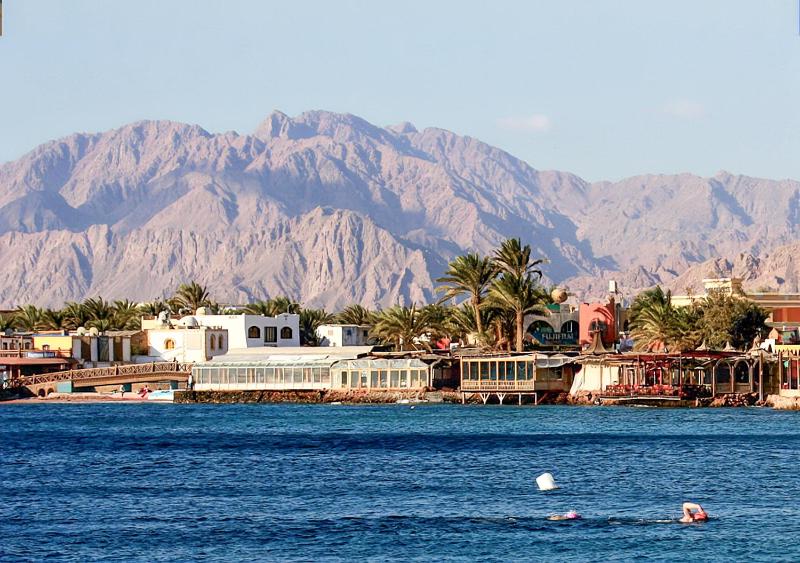 Red Sea Relax Hotel - image 44