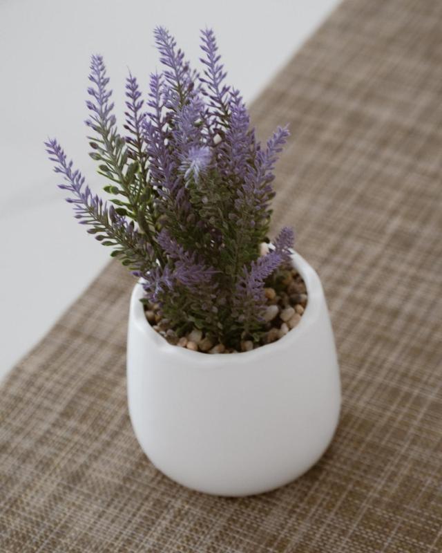 Sea&Sun Living - image 5