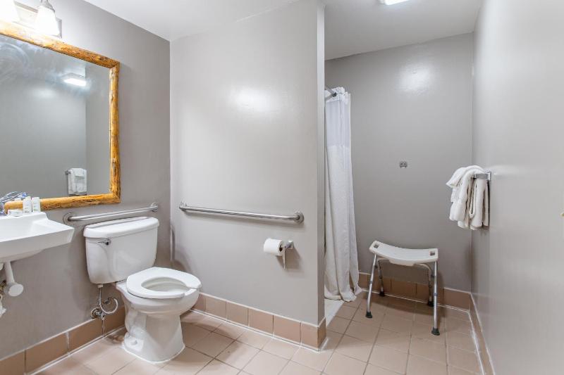 King Room with Roll-in Shower - Disability Access - Non-Smoking image 1