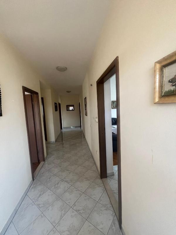 Apartman Mladi - image 11