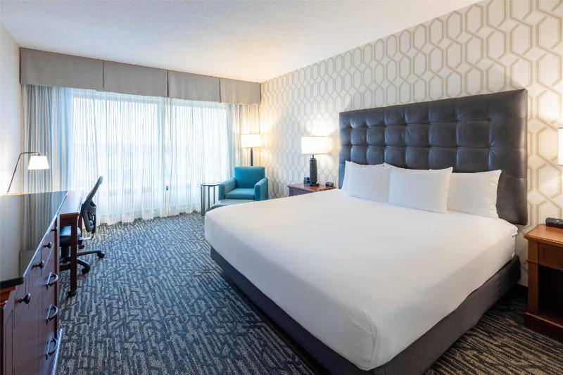 Deluxe King Room image 4