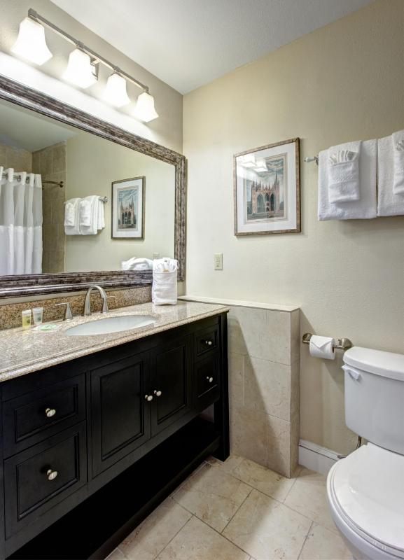 Suite with One King Bed image 4