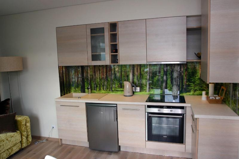 Fountain apartment - image 20