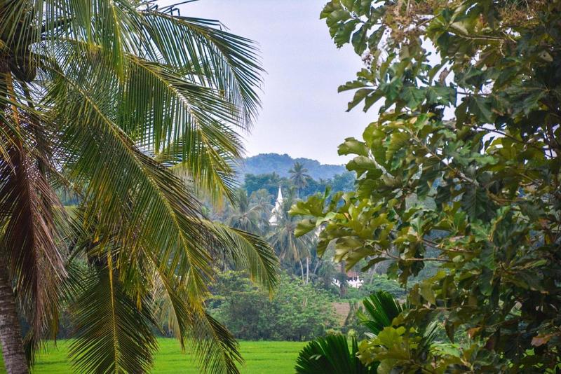 Mami Resort - image 3