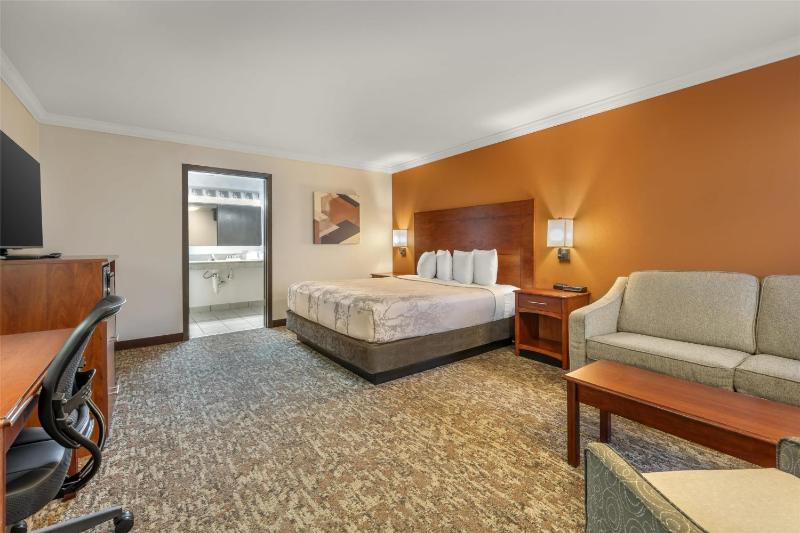 King Room with Sofa Bed and Roll-In Shower - Mobility Accessible image 1