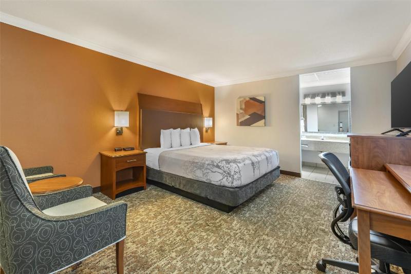 King Room - Non-Smoking image 4