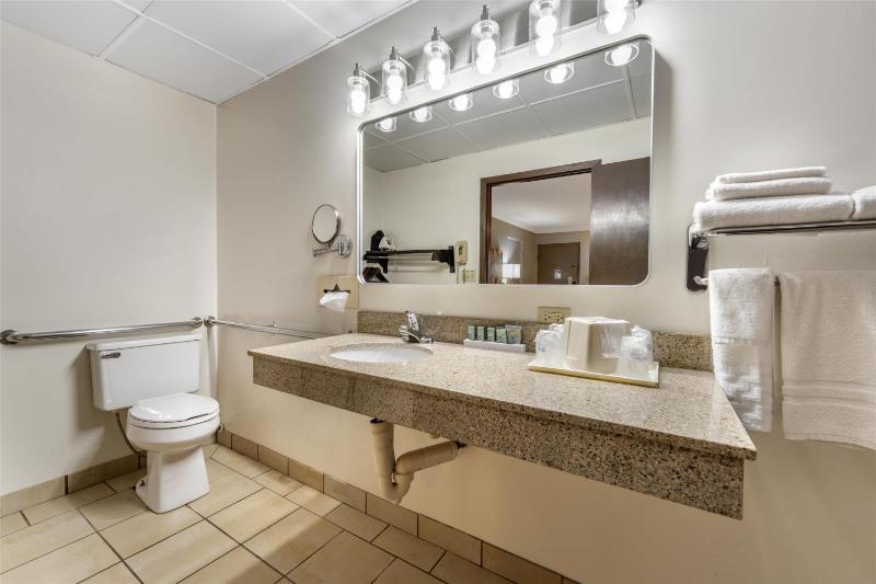 King Room with Sofa Bed and Roll-In Shower - Mobility Accessible image 2