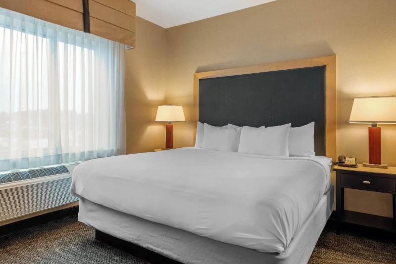 King Suite with Sofa Bed - Non-Smoking image 4