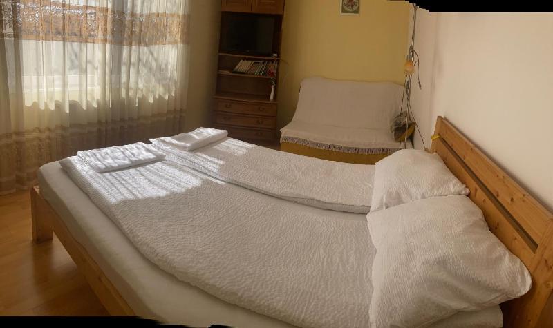 Casa Tomson free parking ciubăr piscină în natura - image 30