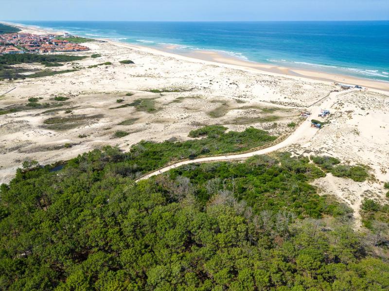 Villa Calme entre Océan et Lac - 8 Pers - 4 Ch - Terrasse - BBQ - Jardin - Biscarrosse Plage - FR-1-319-418 - image 2