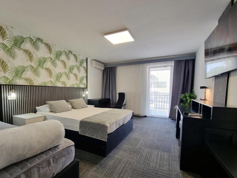 Deluxe Double Room image 1