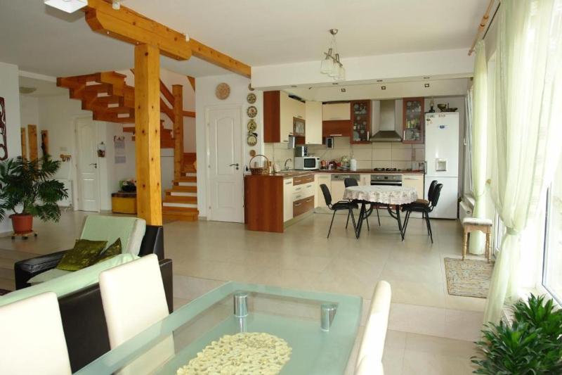 Casa Tomson free parking ciubăr piscină în natura - image 26