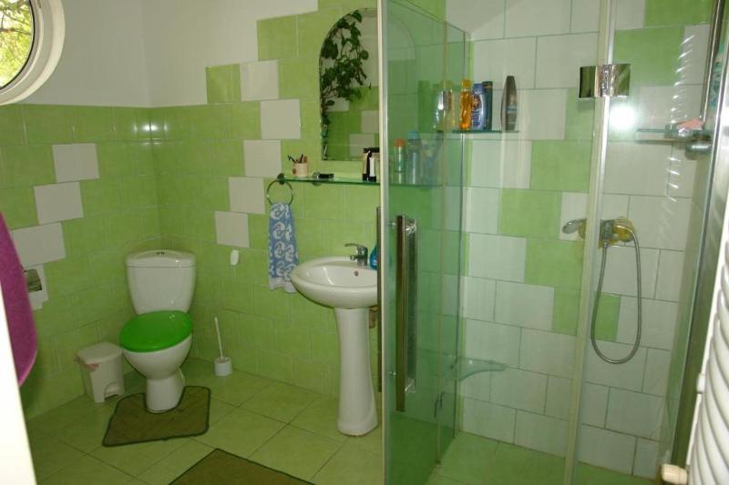 Casa Tomson free parking ciubăr piscină în natura - image 23
