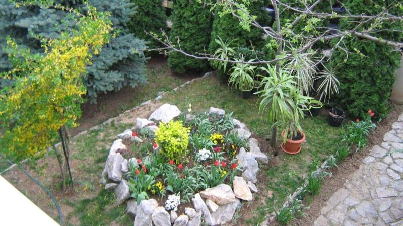 Casa Tomson free parking ciubăr piscină în natura - image 37