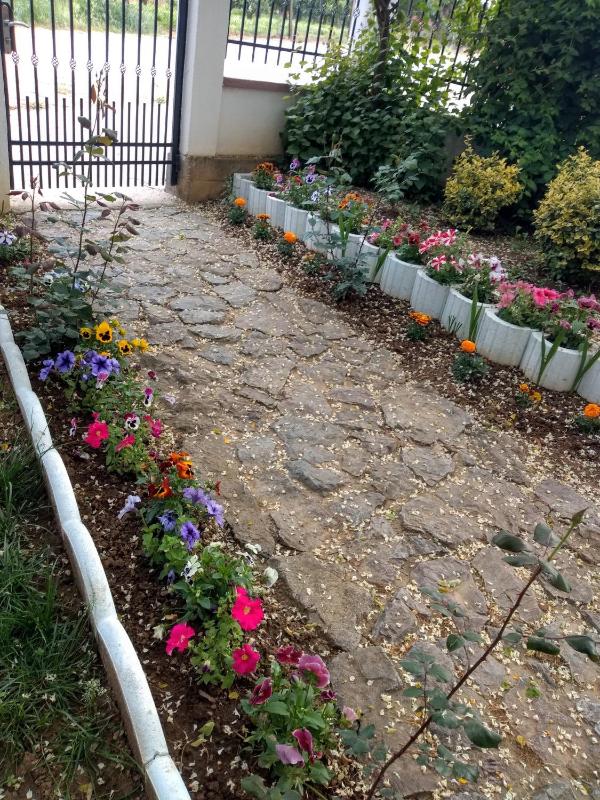 Casa Tomson free parking ciubăr piscină în natura - image 7