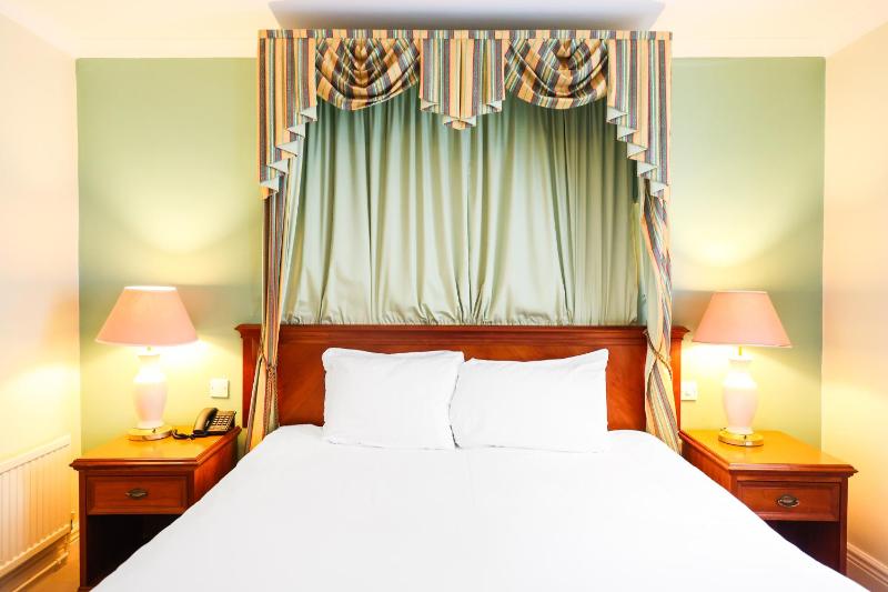 Deluxe King Suite image 4