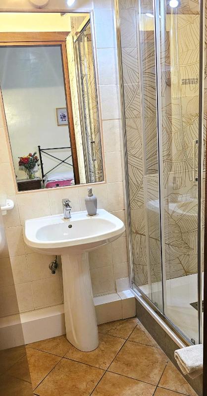 Double or Twin Room image 4