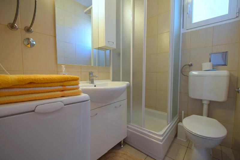 One-Bedroom Apartment image 4