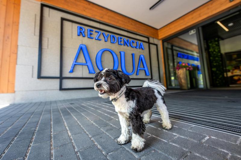 Rezydencja Aqua SPA & Wellness by GRANO - image 14