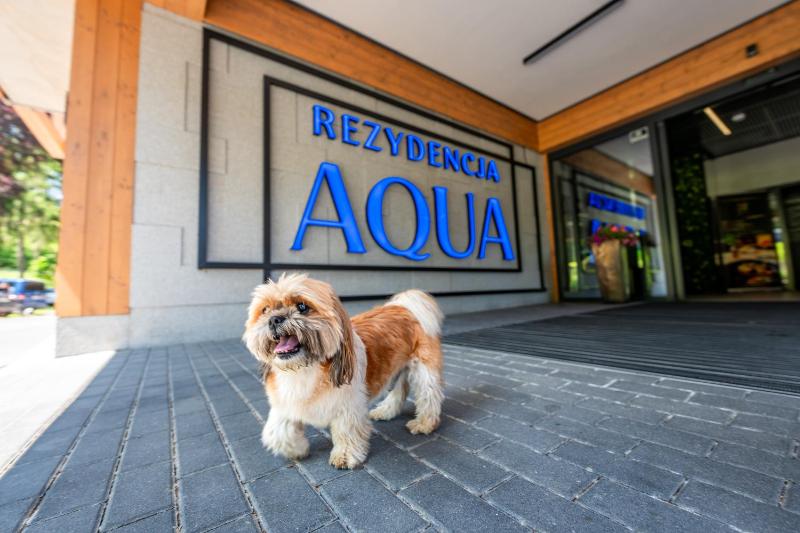Rezydencja Aqua SPA & Wellness by GRANO - image 33