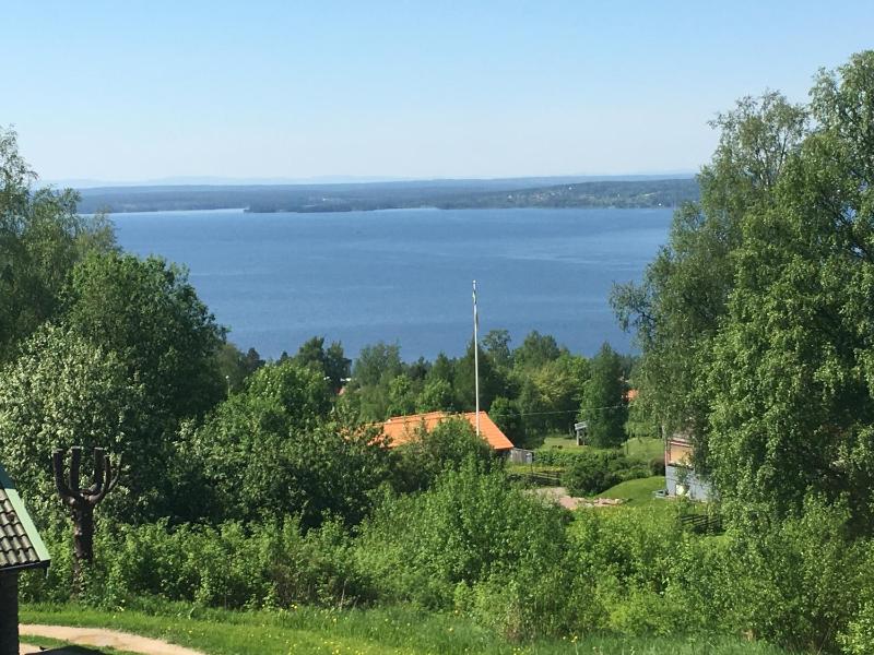 One-Bedroom Cottage with Lake View  image 4