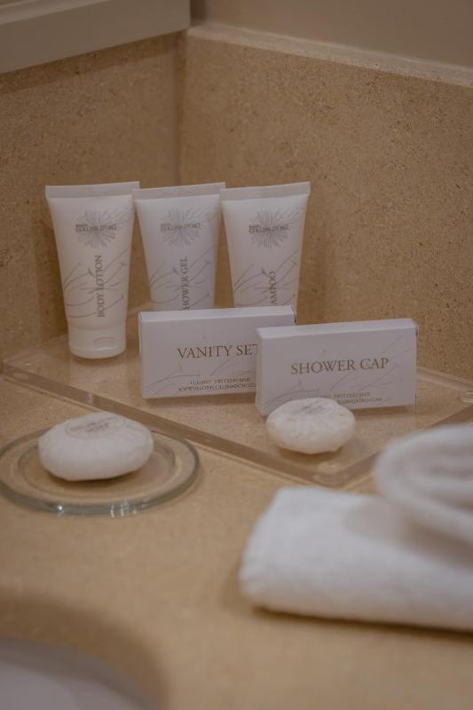 Superior Suite with Spa Access image 4