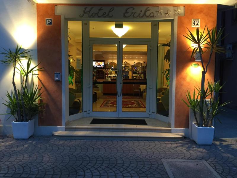 Hotel Erika - image 30