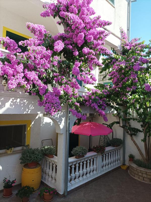 Apartments Vodice Marica - image 10