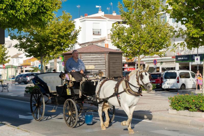 Antequera 49 - image 11
